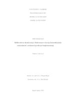 Deliberativna demokracija i Habermasova teorija komunikacijske racionalnosti: strukturni preduvjeti implementacije