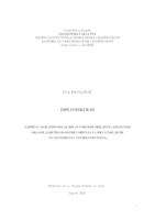 Zadržavanje individualnih autorskih obilježja esejistike Oksane Zabužko kod prevođenja na hrvatski jezik (na materijalu odabranih eseja)