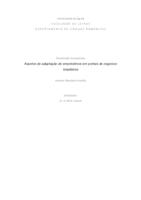 Aspetos de adaptação de empréstimos em portais de negócios brasileiros